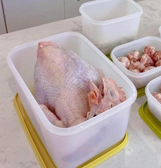 Hộp đông dẻo 2.5L - Tupperware Trung Chính Hãng