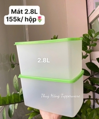 Tuptrung Hộp Mát Nhựa Cứng Thân Đục Nắp Xanh Lá