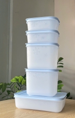 Bộ 5 Hộp Trữ Đông Tupperware Gen II Conterner (2h 450ml+2h 1.1L+1h dẹt 1L) - Đông Dẻo Cao Cấp - New Tupperware