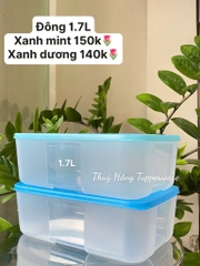 Đông 1.7L Xanh Mint