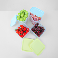Bộ 4 Hộp Trữ Đông Và Trữ Mát Tupperware Starter Set II