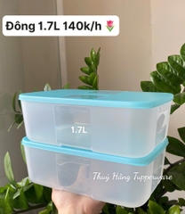 Đông 1.7L Xanh Mint