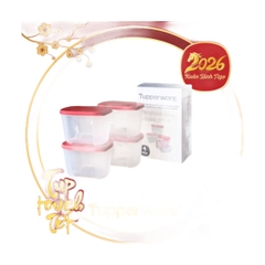 Bộ 4 Hộp Trữ Đông Tupperware Dateline Mini Double 300ml