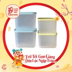 Bộ 4 Hộp Trữ Đông Và Trữ Mát Tupperware Starter Set II