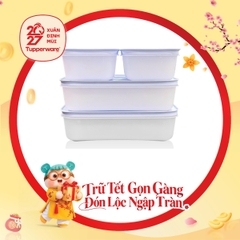 Bộ 4 Hộp Trữ Đông Tupperware Gen II 450ml & 1L Đông Dẻo Cao Cấp