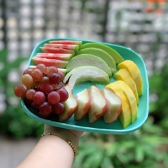 Combo Bộ Đĩa Tupperware Vuông 20cm -  4 Màu - Năm 2025 - Tupperware Trung Chính Hãng