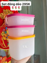 Set đông dẻo (3) 1.1l và 450ml