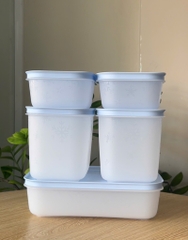 Bộ 5 Hộp Trữ Đông Tupperware Gen II Conterner (2h 450ml+2h 1.1L+1h dẹt 1L) - Đông Dẻo Cao Cấp - New Tupperware