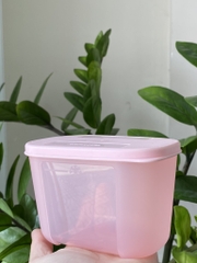 Tuptrung Hộp Đông Thường 300ml (01 Hộp)