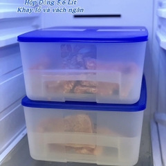 Hộp Tupperware Trữ Đông Có Khay Lót Đáy 5.7L - NEW TUPPERWARE Chính Hãng