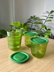 TupMalay - Premium BLSM Glass 230ml - T.M Cốc xanh lá có nắp 230ml