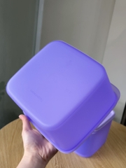Hộp Trữ Khô Tupperware Vuông Oval Smart Saver - Tupperware Malaysia Chính Hãng