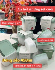 Hộp Đựng Thực Phẩm Tupperware Trữ Đông  Freezable 450ml  - Đông Dẻo - New Tupperware Chính Hãng
