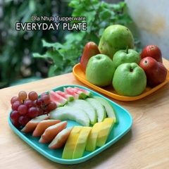 Combo Bộ Đĩa Tupperware Vuông 20cm -  4 Màu - Năm 2025 - Tupperware Trung Chính Hãng