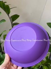 Dĩa/ đĩa Sâu Lòng Everyday Plate Set 4 Tupperware 4 Màu 17.5cm