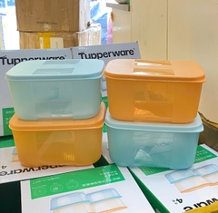 Set 4 Hộp Tuptrung 650ml Basic Thân Màu (4 Hộp)