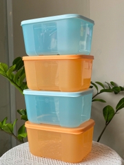 Tuptrung - Hộp Đông 650ml Basic Thân Màu