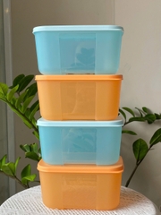 Tuptrung - Hộp Đông 650ml Basic Thân Màu