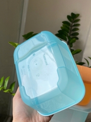 Tuptrung - Hộp Đông 650ml Basic Thân Màu