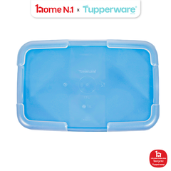Bộ 6 Hộp Trữ Đông Tupperware Gen I Medium 2.3L & 1.5L