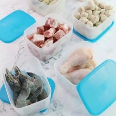 Bộ Hộp Tupperware Trữ Đông Freezermate 650ml (6 Hộp)