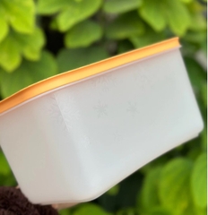 Tuptrung Hộp đông dẻo 2.5lit - nắp cam