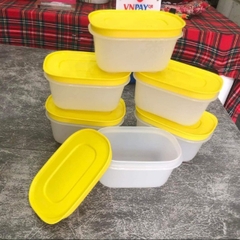 1/2 Bộ Hộp Tupperware Trữ Đông Mini Freezermate Gen II 170ml (3 Hộp)