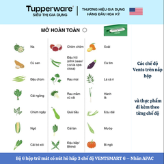 Combo Trọn Bộ Hộp Trữ Mát Tupperware Có Nút Hô Hấp VENTSMART 6 – Nhãn APAC