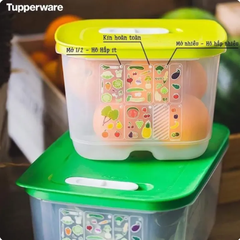 Bộ Hộp Trữ Mát Tupperware Ventsmart Hộp Có Nút Hô Hấp (06 Hộp)