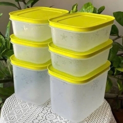 Bộ 6 Hộp Tupperware Trữ Đông  4 Hộp 450ml+2 Hộp 1.1L - Nắp Cốm Đông Thân Trong Bông Tuyết - Tupperware Trung Chính Hãng
