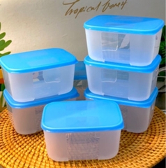 Tuptrung - Hộp đông 300ml - thân trong nắp xanh basic