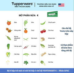 Combo Trọn Bộ Hộp Trữ Mát Tupperware Có Nút Hô Hấp VENTSMART 6 – Nhãn APAC