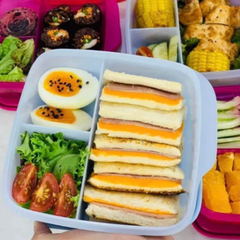 Hộp Cơm Tupperware Lolly Tup Màu Mới 2023