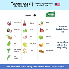 Combo Trọn Bộ Hộp Trữ Mát Tupperware Có Nút Hô Hấp VENTSMART 6 – Nhãn APAC