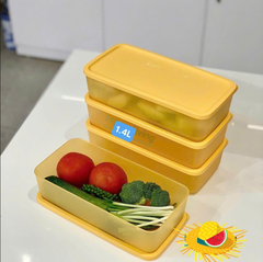 Set Mát Tupperware (4) 3.1L, 1.4L, 1L