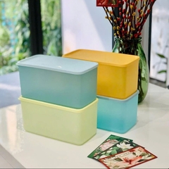 Tuptrung Combo Set 4 Hộp Funtastics 3.1L