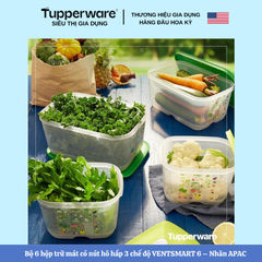 Combo Trọn Bộ Hộp Trữ Mát Tupperware Có Nút Hô Hấp VENTSMART 6 – Nhãn APAC