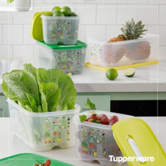 Hộp Trữ Mát Tupperware Ventsmart Có Nút Hô Hấp