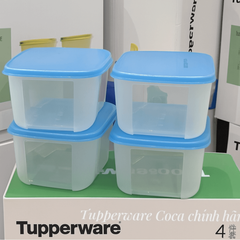 Set Mix Tupperware Đông Mát Khô (6)