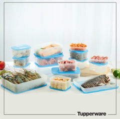 Combo 14 Hộp Đông Nắp Xanh Jumbo