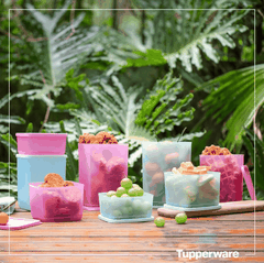 Bộ Hộp Tupperware Bảo Quản Thực Phẩm Pop Fiesta (8 Hộp)