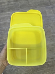 Hộp Cơm Tupperware Lolly Tup Màu Mới 2023