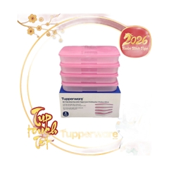 Hộp Trữ Đông Dẹt Tupperware 650ml - Nắp Hồng