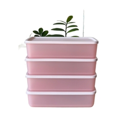 Hộp Trữ Mát Tupperware Cubix Rectangle 1.4L - Màu Hồng