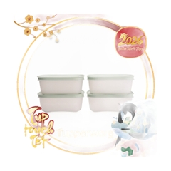 Hộp Trữ Đông Tupperware Freezable 450ml Đông Dẻo