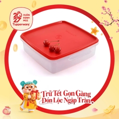 Hộp Trữ Khô Và Mát Tupperware Jumbo Goody 2L Có Tay Cầm