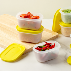 1/2 Bộ Hộp Tupperware Trữ Đông Mini Freezermate Gen II 170ml (3 Hộp)