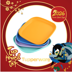Combo Bộ Đĩa Tupperware Vuông 20cm -  4 Màu - Năm 2025 - Tupperware Trung Chính Hãng