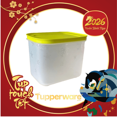 Hộp Tupperware Trữ Đông 1.1L- Đông Thân Trong Nắp Cốm - Tupperware Trung Chính Hãng