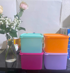 Bộ 4 HộpTupperware Trữ Mát 840ml -  Màu 2025 - Tupperware Trung Chính Hãng